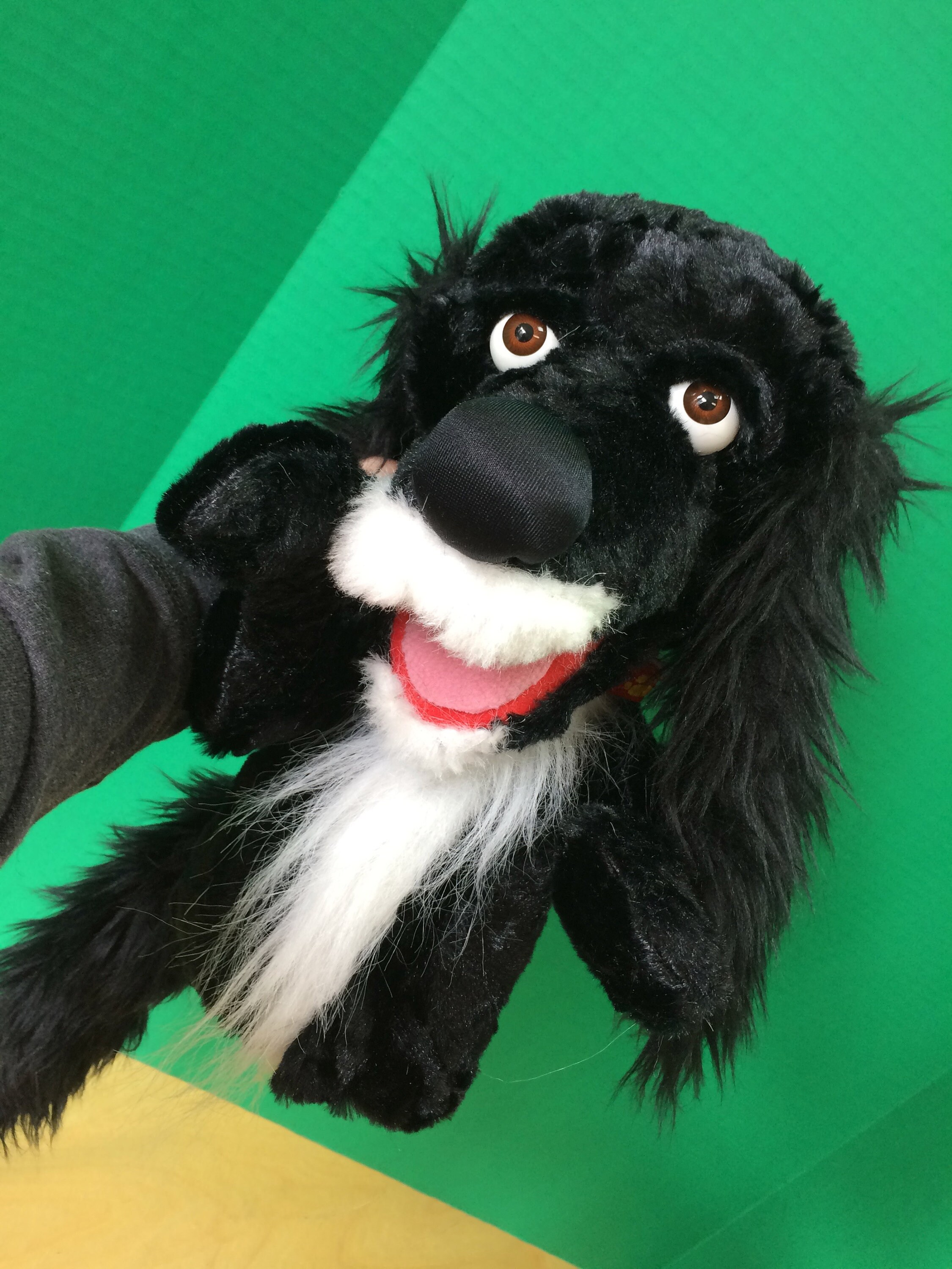 Dog Puppet Custom Made Lookalike Etsy Canada