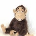 Chocko the Chimpanzee puppet for youtube movie monkey puppet