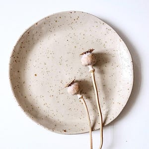 May include: A speckled, cream-coloured ceramic plate with a slightly raised edge. Two dried poppy seed heads with long, slender stems rest on the plate. The plate and stems are set against a clean white background, creating a minimalist aesthetic.