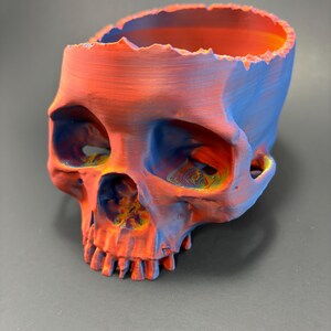 May include: A 3D-printed skull-shaped planter in vibrant red, orange, and blue hues. The skull has a rough, textured surface and a hollow interior for planting. The eye sockets and nasal cavity are visible.