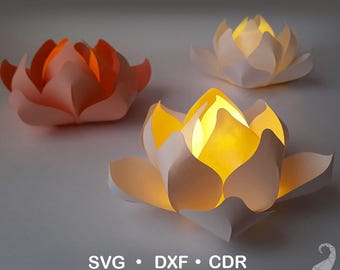 Lotus paper lantern discount