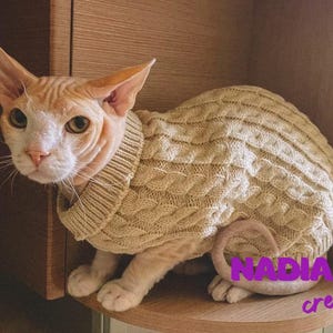 CAT KNITTED CREW NECK SWEATER