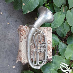wind trumpet