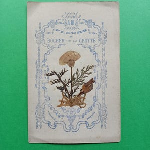 Années 1920, photo avec de vraies fleurs du rocher de la grotte de Lourdes en France, carte religieuse fleurs Lourdes, carte de prière catholique