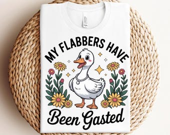 Mis flabbers han sido gaseados PNG Humor de ganso sarcástico PNG Regalo de broma Estado de ánimo de ganso grosero Animal sarcástico PNG Actitud Humor adulto Ganso divertido PNG
