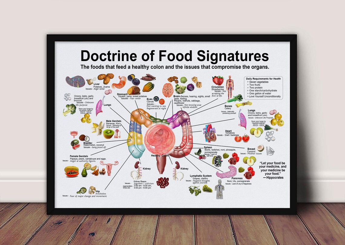 doctrine-of-food-signatures-horizontal-poster-or-canvas-shape-etsy