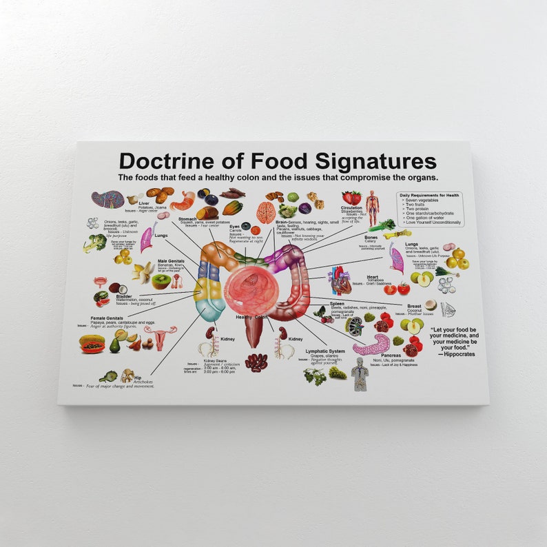 doctrine-of-food-signatures-horizontal-poster-or-canvas-shape-etsy