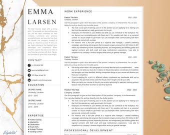 Clean Resume Template for Word & Pages, Minimalist Executive Resume, Simple Modern Smooth Template, Minimal Resume Template 2024