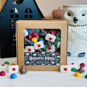 May include: A box of Hogwarts Magic shimmer wax melts with shapes of letters and wizard hats. The box has a clear window and the text "Hogwarts Magic". Other decorative items include a black house and an owl-shaped container.