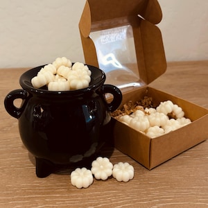 Black Cauldron Ceramic Wax Warmer with Fall-Inspired Melts