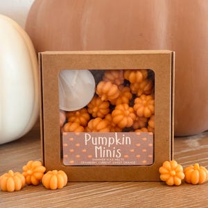 Pumpkin Minis Wax Melts - oranje | Geur cranberry-mandarijn | Glinsterende waxmelts | Pompoenwas | Herfstdecoratie | Herfstcadeau | 2 oz