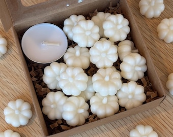 Cashmere Pumpkin Wax Melts: Amber, Wood & Vanilla Scent - Shimmering Fall Decor