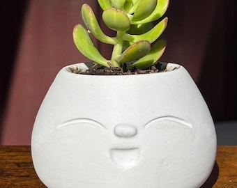 手彫りのバオプランター：ユニークな多肉植物ポット、小さな植物のギフト
