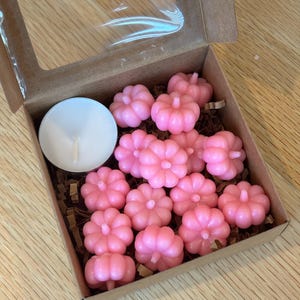 Cashmere Pumpkin Wax Melts - roze | Amber-, hout- en vanillegeur | Glinsterende waxmelts | Pompoenwas | Herfstdecoratie en -cadeau | 2 oz