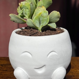 Bernie Bowl Planter | Handmade Succulent Planter | Cute Round Plant Pot | Whimsical Home Decor | Unique Gift Idea | Adorable Planter