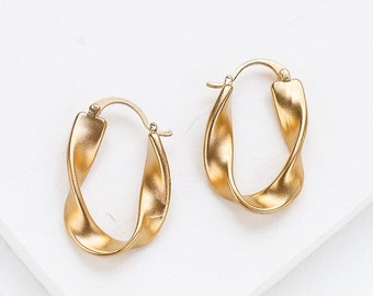 Seine Earrings, Hoop Earrings, Gold and Silver Jewelry, Dynamic Shape Earrings