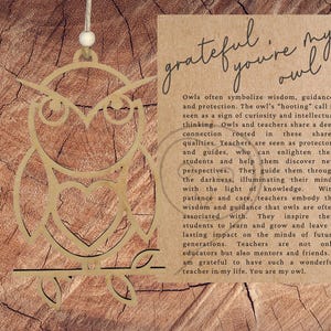 Ornamento gufo insegnante di Story Card/Grato che sei il mio gufo/Ricordo ispiratore/Decorazione unica per le feste/Ciondolo per auto