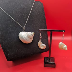 Mother of Pearl Turbo Snail Shell Necklace and Earrings Set
