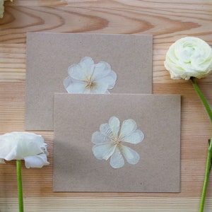 Cartes de correspondance avec un sac en papier avec des fleurs crème. lot de cinq.