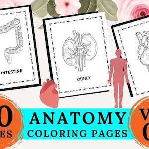 Homeschool Science Printables Human Body Unit Anatomy Worksheets for Kids learning activities