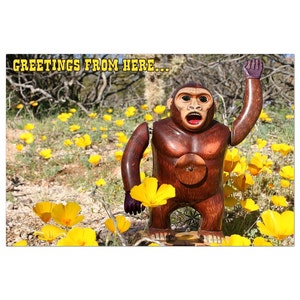Greetings From Here Postcard