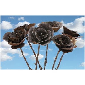 READY to Ship with Free USPS Priority Mail -  Barbed Wire Desert Flowers - Bouquet of 6