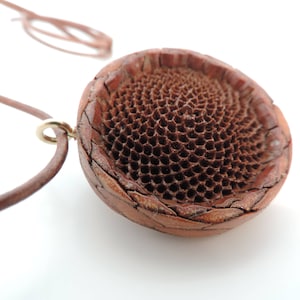 Protea seedpod pendent