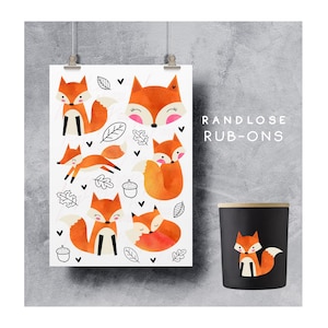 Könnte beinhalten: Ein weißes Poster mit orangefarbenen Fuchsbildern und dem Text "RANDLOSE RUB-ONS" wird neben einem schwarzen Behälter mit einem Fuchsmotiv angezeigt. Die Füchse haben weiße und schwarze Akzente. Das Poster enthält auch Blatt- und Eichelillustrationen.