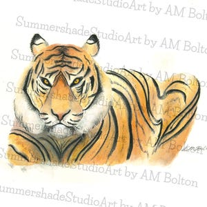 Tiger - Giclee Print