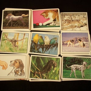 Meine Lieblingstiere Der Welt Set mit 180 Vintage-Aufklebern. Jeder Aufkleber misst 5,7 cm x 7,5 cm. Hergestellt 1992 in Italien von Panini.