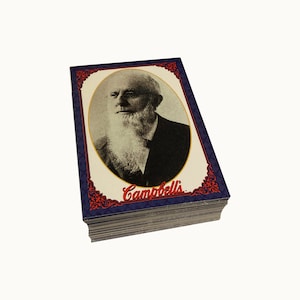 Conjunto básico completo de la colección Campbell de 72 cartas coleccionables antiguas en excelentes condiciones. ¡Los hijos de Campbell! Colecciona una tarjeta 1995.