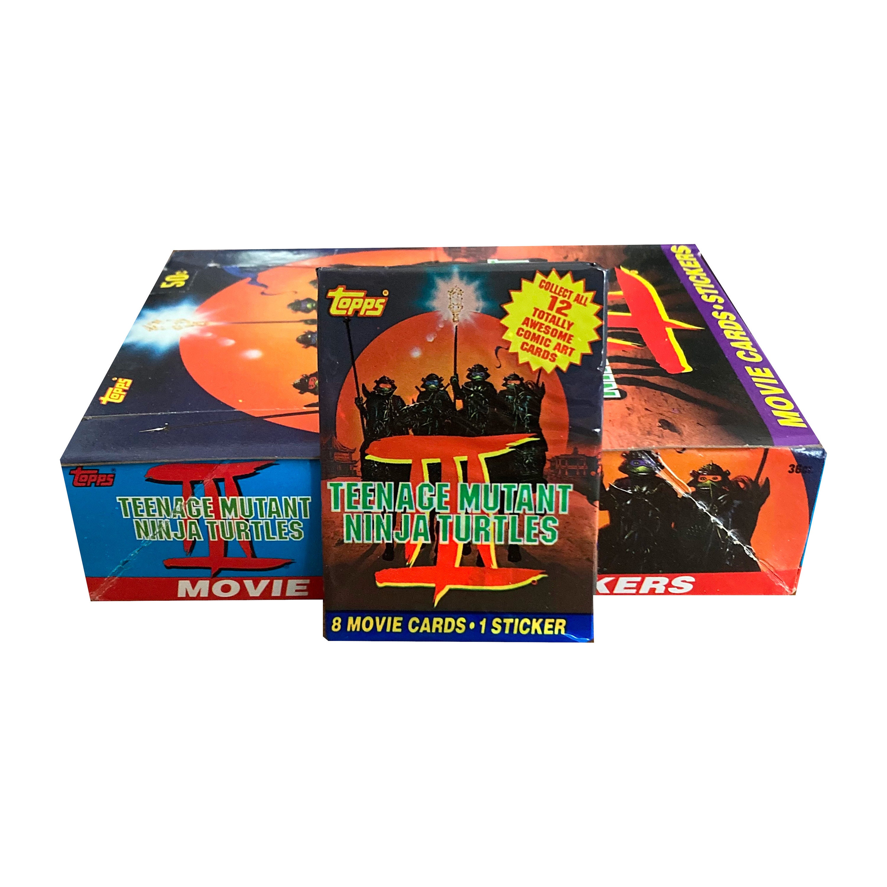 Teenage Mutant Ninja Turtles Collectors Case - Etsy