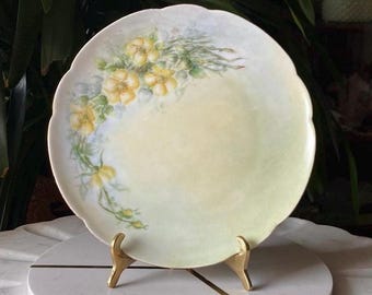 Antique Bavaria Porcelain Plate – Hand Painted Floral Display Dish