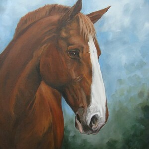 Pet Portrait 16x20