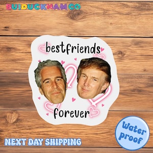 Trump And Epstein Best Friends Forever Sticker, Laptop Decal, Satirical Anti-Trump Political Sticker, Trendy Sticker, Vinyl Sticker,Activist
