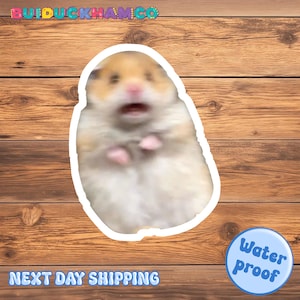 Cute Scared Hamster Sticker, Meme Laptop Decal, Meme Lovers Gift, Hamster Lovers Sticker, Scared Hamster Meme sticker, Waterproof Sticker