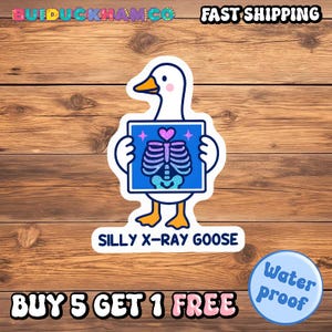 Silly Xray Goose Nurse Sticker, Sarcastic IV Bag Waterproof Sticker, Funny Laptop Decal, Cool Stickers, Silly Goose Meme Stickers