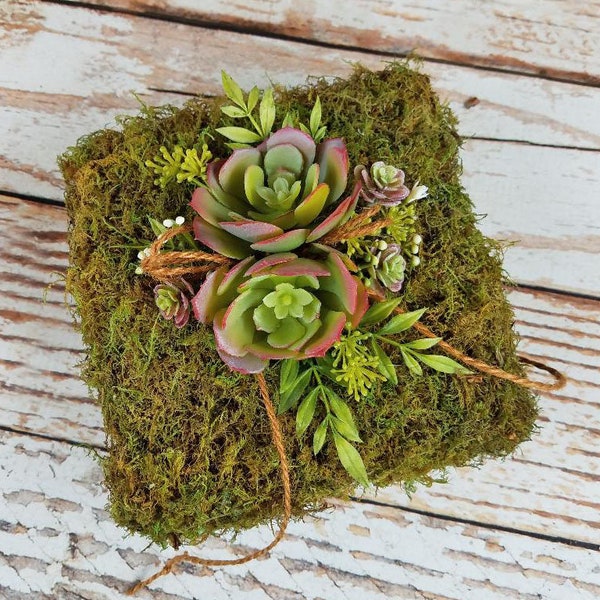 Succulent Pillow Etsy