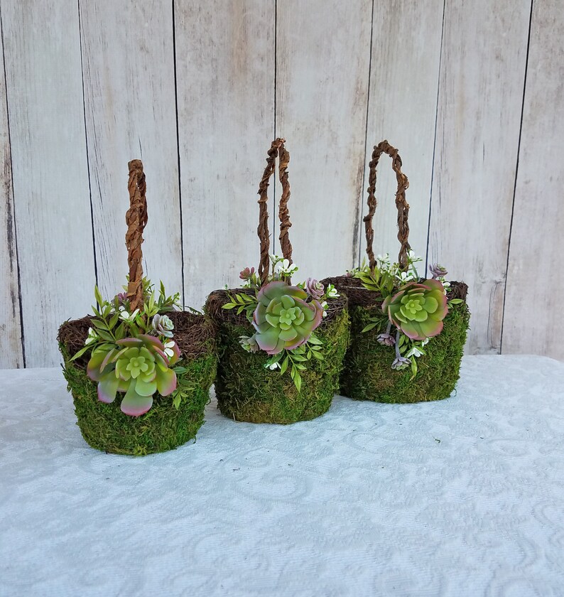 Large Succulent Moss Flower Girl Basket for your Wedding Etsy
