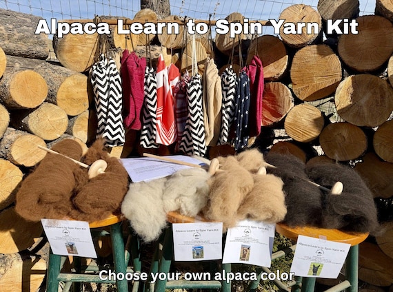 Drop Spindle/Learn to Spin Yarn Kit with Alpaca
