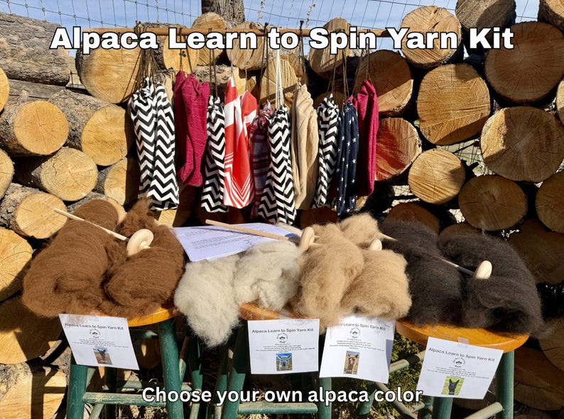 Drop Spindle/Learn to Spin Yarn Kit with Alpaca image 1
