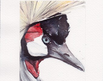 Crested Crane - ORIGINAL WATERCOLOR