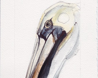 Pelican - Original Watercolor