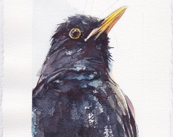 Blackbird - ORIGINAL WATERCOLOR