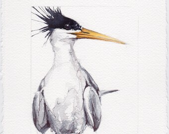 Crested Tern - Original Watercolor