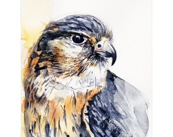 Merlin Falcon - PRINT