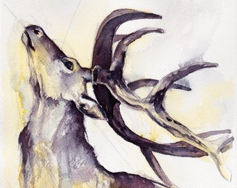 Reindeer - Original Watercolor