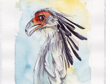 Secretary Bird - Original Watercolor