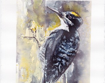 Alaskan Woodpecker - Original Watercolor