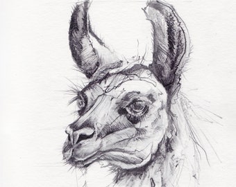 Llama - Original Drawing